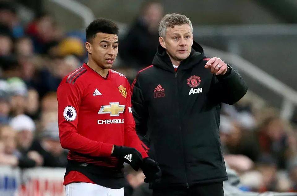 我们看到了 我们看到了